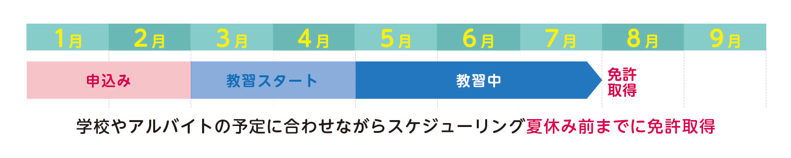 学校やアルバイトの予定に合わせながらスケジューリング。夏休み前までに免許取得