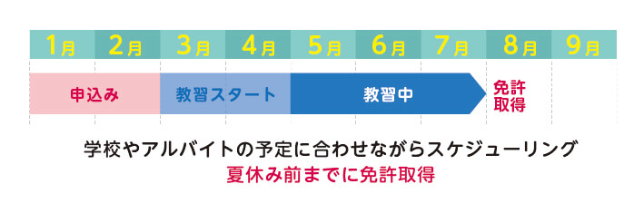 学校やアルバイトの予定に合わせながらスケジューリング。夏休み前までに免許取得